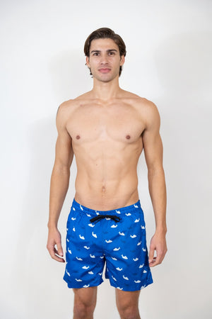 SS-1023 PRINTED SWIM SHORTS 12 PACK